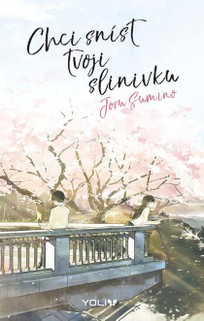 Chci sníst tvoji slinivku (light novel)