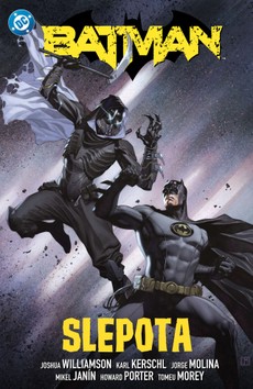 Batman 7: Slepota
