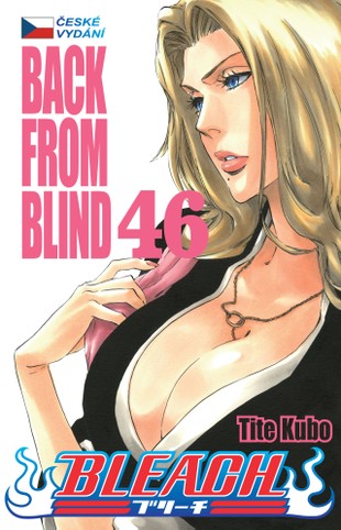 Bleach 46: Back From Blind