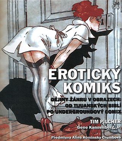 Erotický komiks - díl první