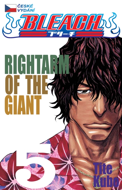Bleach 5: Rightarm of the Giant