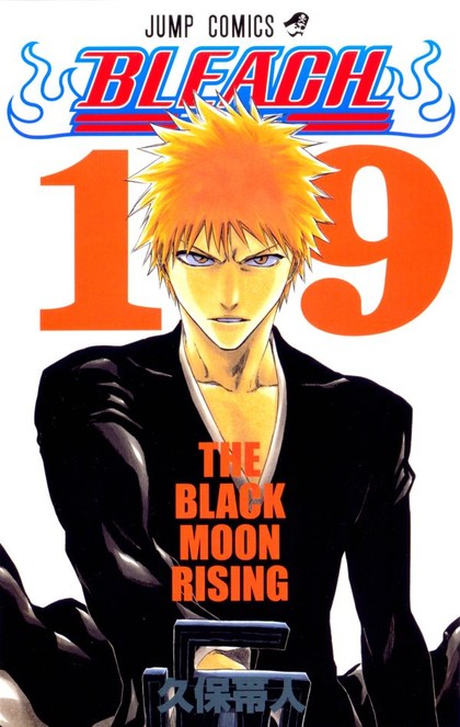 Bleach 19:  Black Moon Rising